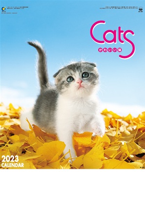 名入れカレンダー制作 -かわいい猫